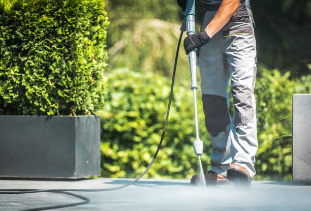 Best Residential Pressure Washing in Floris, VA