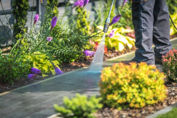 Best Deck and Patio Pressure Washing in Floris, VA
